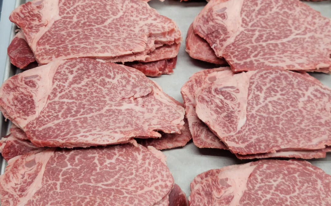 牝牛の伊万里牛ヒレ肉が入荷しております